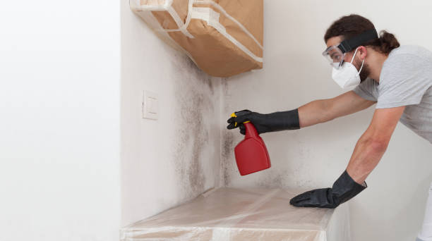 Professional Attic Mold Remediation technician working in Grassflat, PA