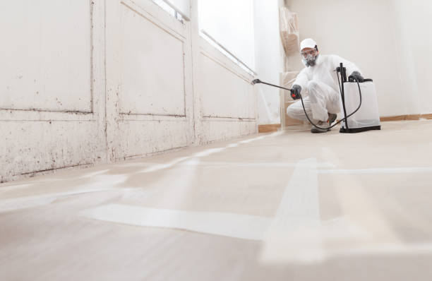 24/7 Emergency Attic Mold Remediation experts in Grassflat, PA